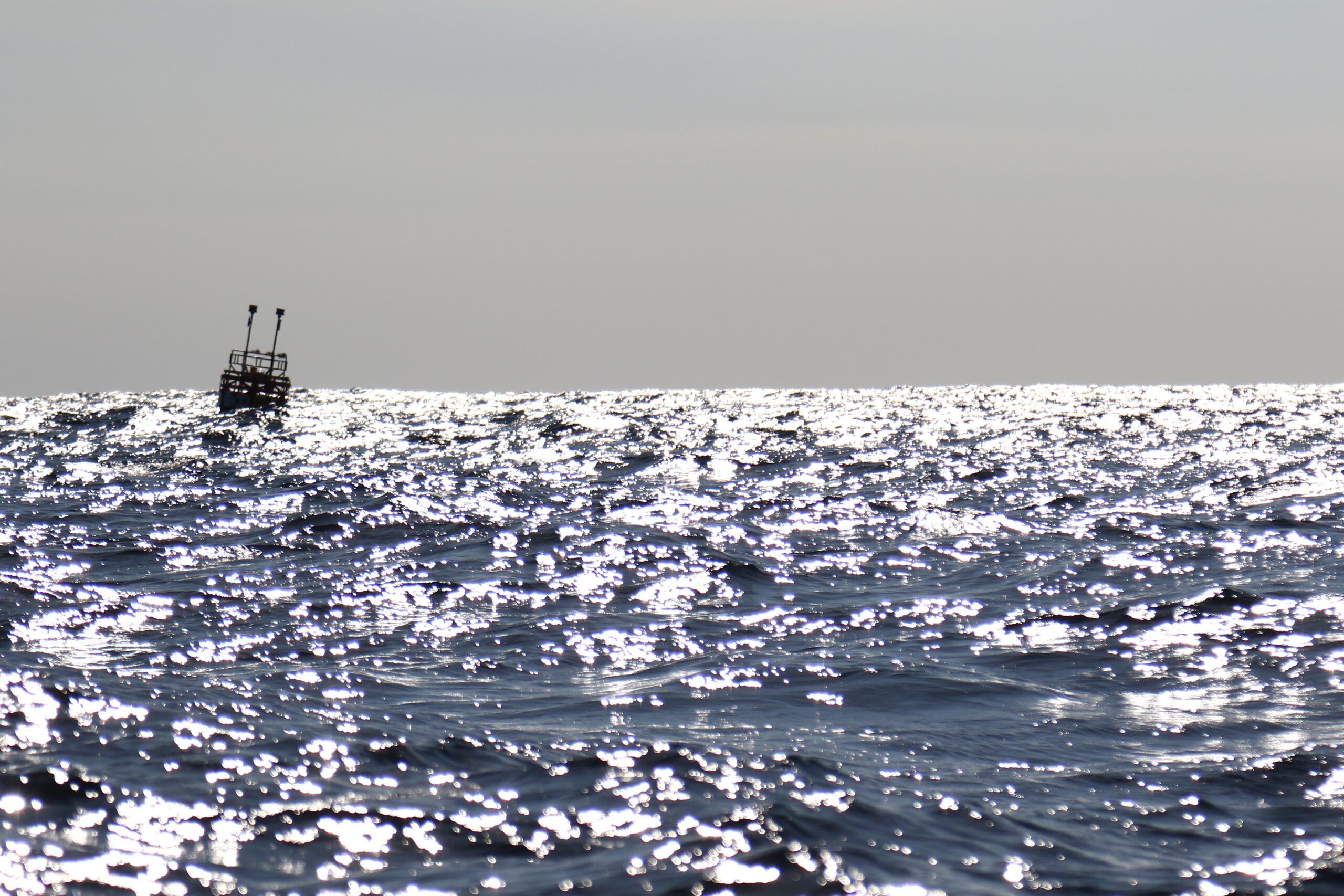 尾鷲マグロゲーム＜キャスティング編＞ - ヴァンフック(VANFOOK