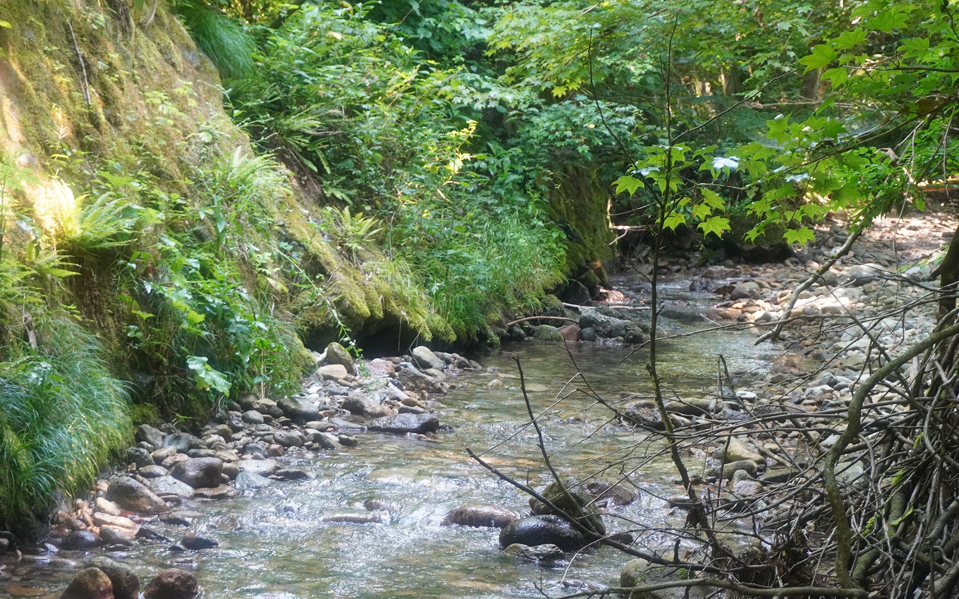 f5a7a7dd29474a5d249b8a4a4c6bca